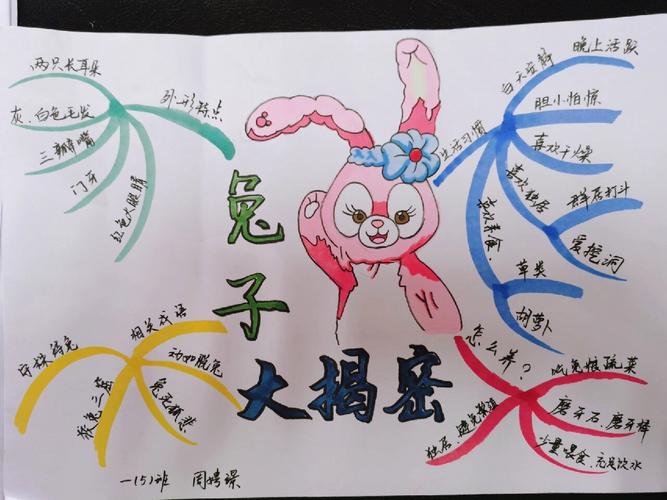 思维导图兔子坡是什么？-图2