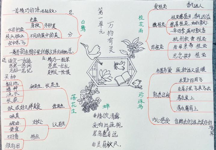 思维导图兔子坡是什么？-图3