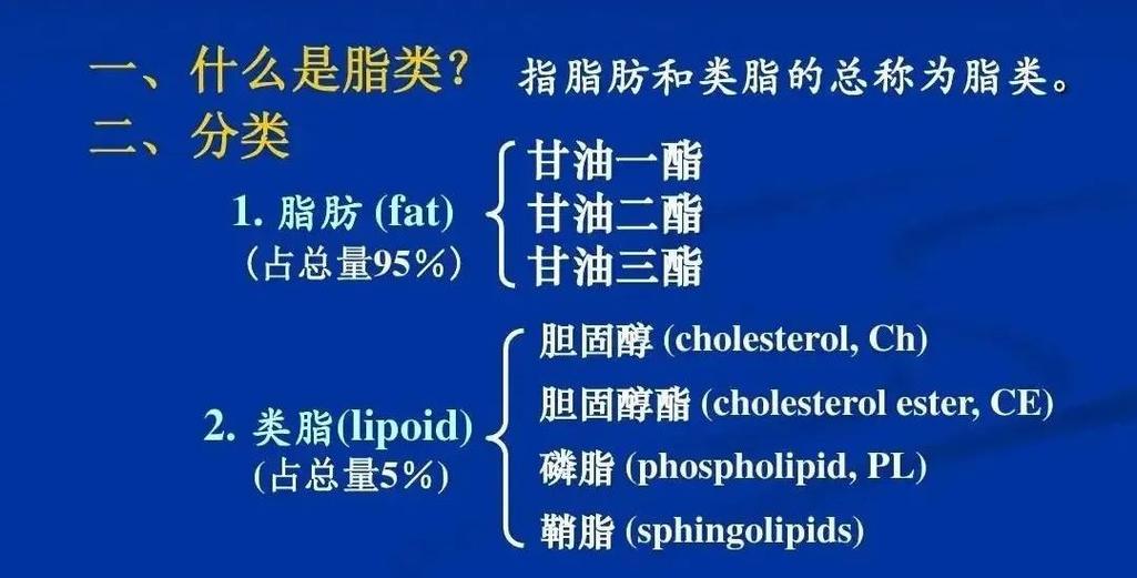 脂肪酸分子有哪些？-图3