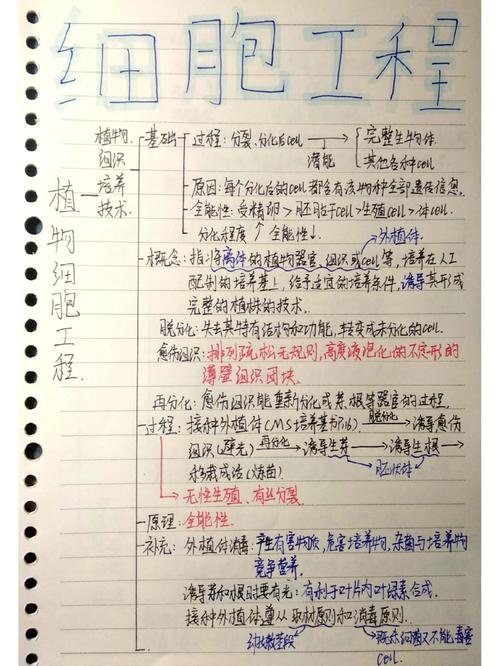 必修3生物思维导图如何构建高效知识体系？-图1