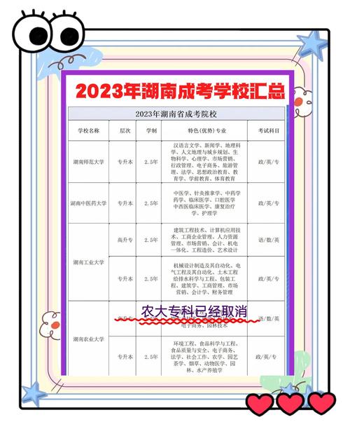 湖南省大学生村官报名条件-图2