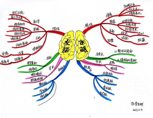 脑图思维绘画,如何用画激活大脑潜能?-图3 脑图思维绘画,如何用画激活大脑潜能?-图3