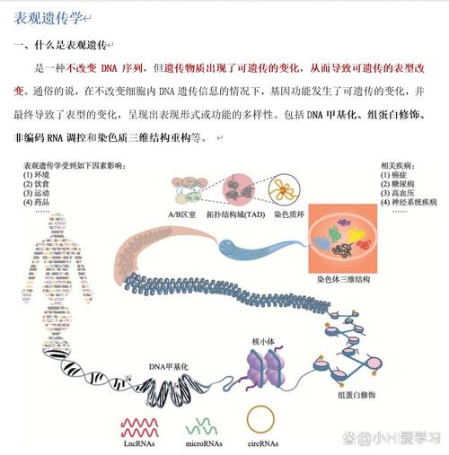遗传学属于哪个专业大类?-图1 遗传学属于哪个专业大类?-图1