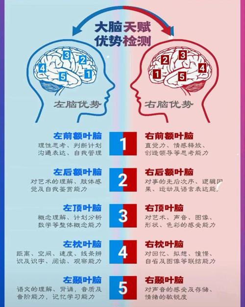 左脑控制什么思维-图1 左脑控制什么思维-图1