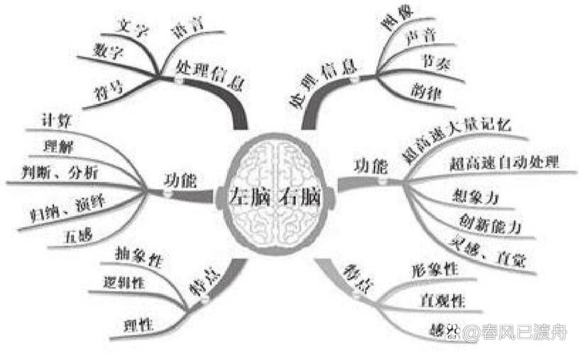 左脑控制什么思维-图2 左脑控制什么思维-图2