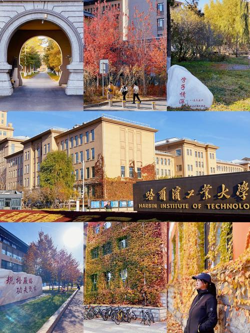哈工大微电子学院归属哪个学院？-图1