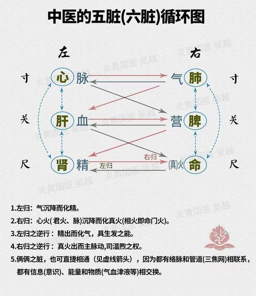 阳病治阴属于阴阳哪个-图2 阳病治阴属于阴阳哪个-图2