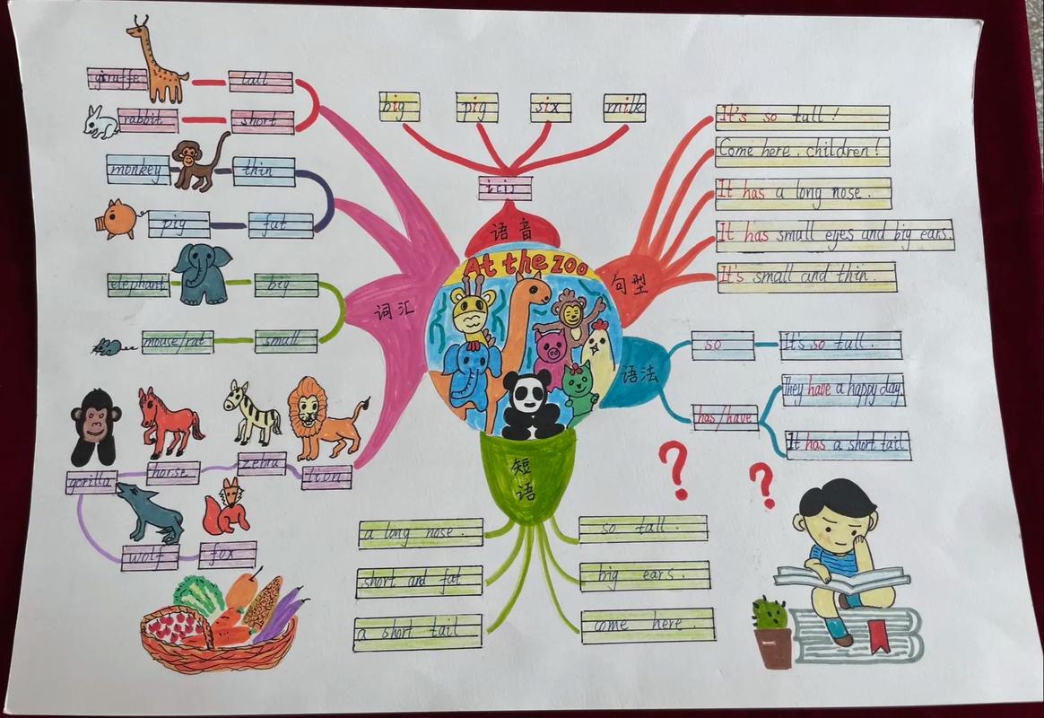思维导图那个好用-图1