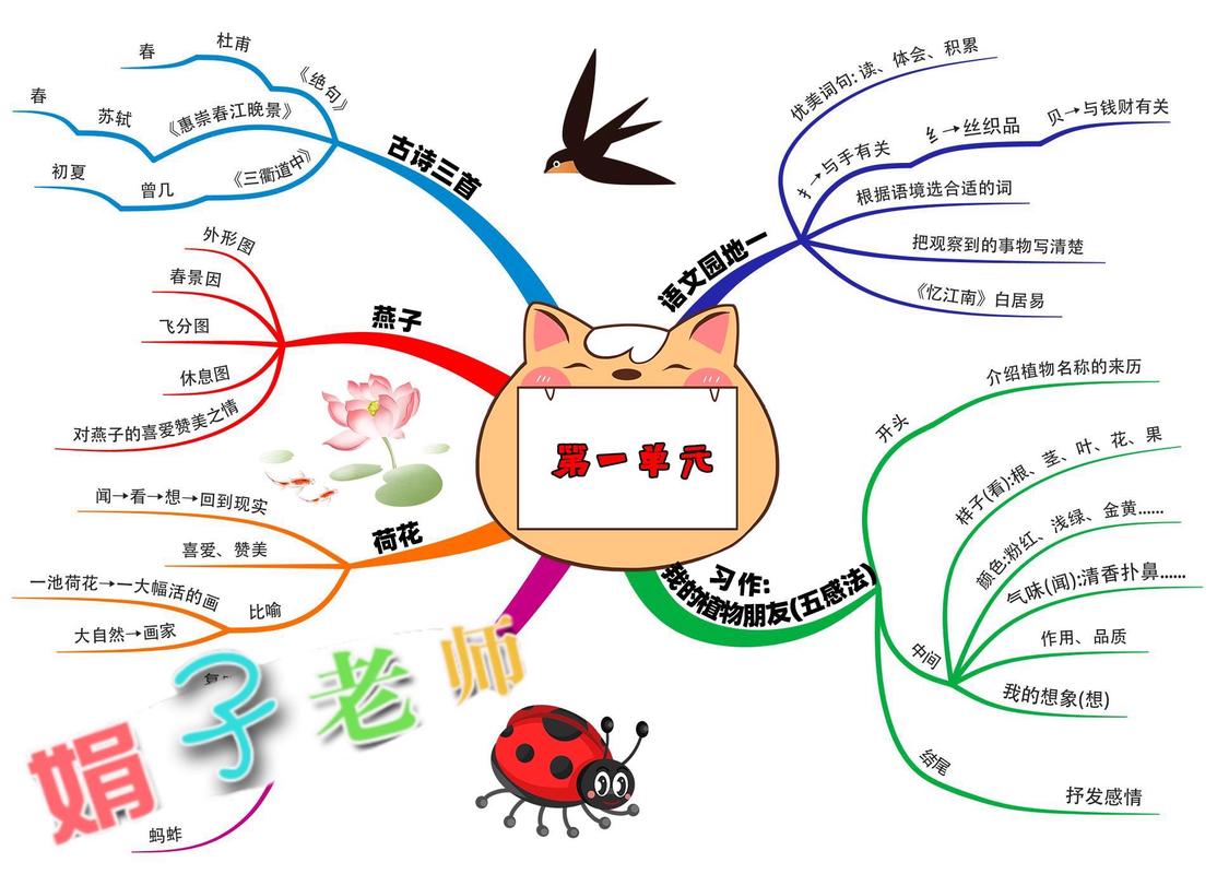 思维导图怎么画？关键步骤有哪些？-图3