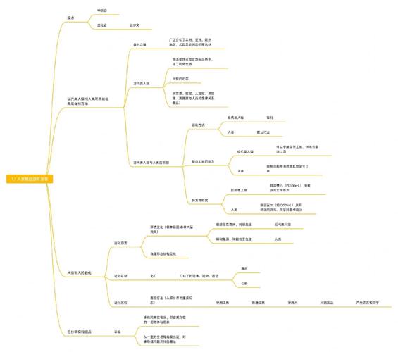 人类形成的关键节点与核心脉络是什么？-图2
