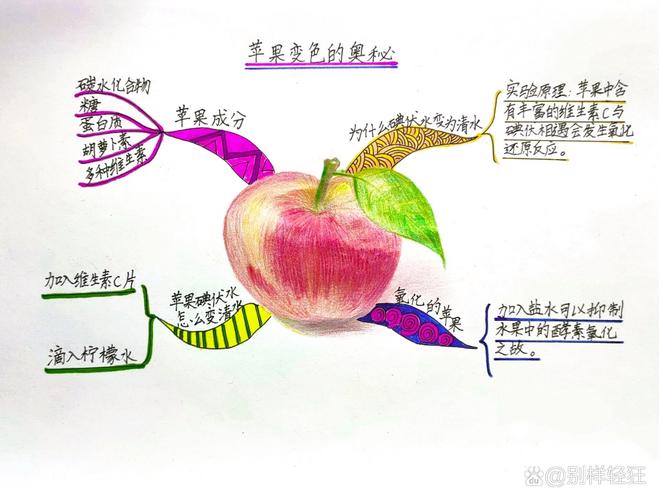 苹果如何发散思维？-图1