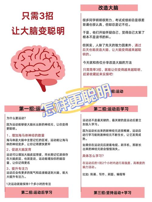 如何科学激活孩子大脑思维潜力?-图1 如何科学激活孩子大脑思维潜力?-图1