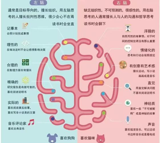 男女思维差异，如何读懂彼此心理？-图1