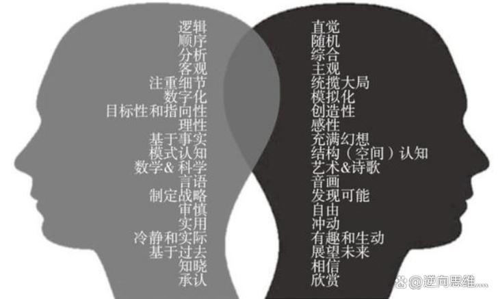 如何有效优化与提升个人思维能力?-图1 如何有效优化与提升个人思维能力?-图1