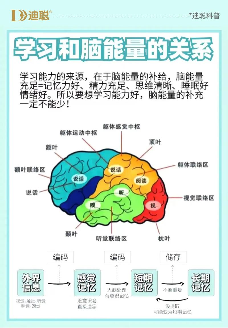 益智脑思维如何提升智力?-图3 益智脑思维如何提升智力?-图3