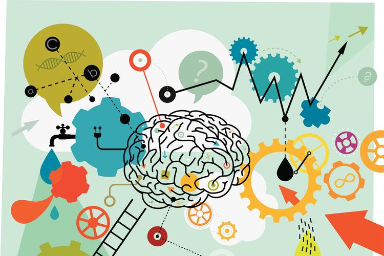 益智脑思维如何提升智力?-图2 益智脑思维如何提升智力?-图2