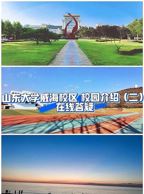 山大国贸专业隶属哪个学院?-图1 山大国贸专业隶属哪个学院?-图1