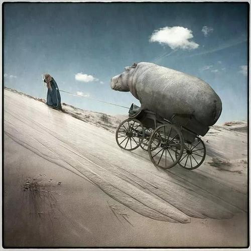 逆向思维吧，如何打破常规看问题？-图3