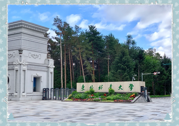 东北林大和宁夏大学,地域差异如何选?-图1 东北林大和宁夏大学,地域差异如何选?-图1