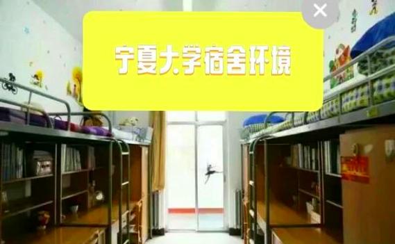 东北林大和宁夏大学，地域差异如何选？-图2