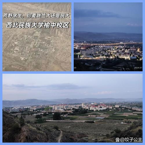 西北民族大学哪个民族学生占比最多？-图3