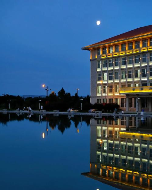 西北民族大学哪个民族学生占比最多？-图2