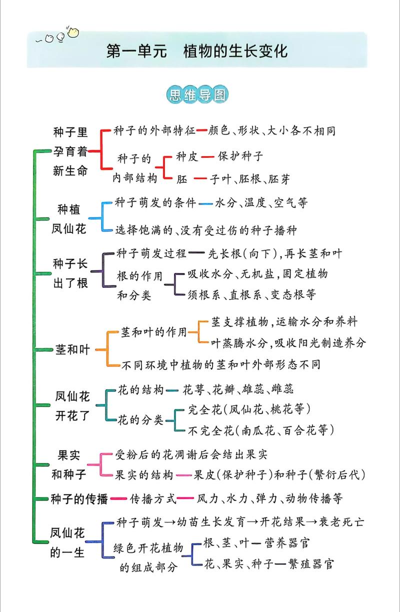 科学植物思维导图，如何高效构建知识体系？-图1