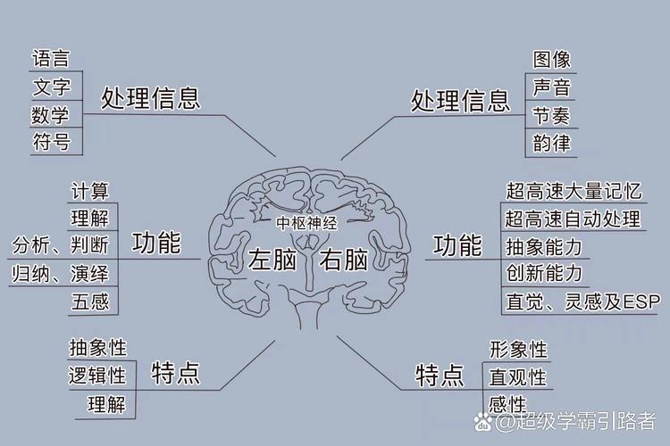 左右脑思维图如何揭示思维差异？-图3