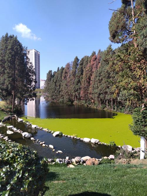 云南园林专业哪所学校实力强？-图1