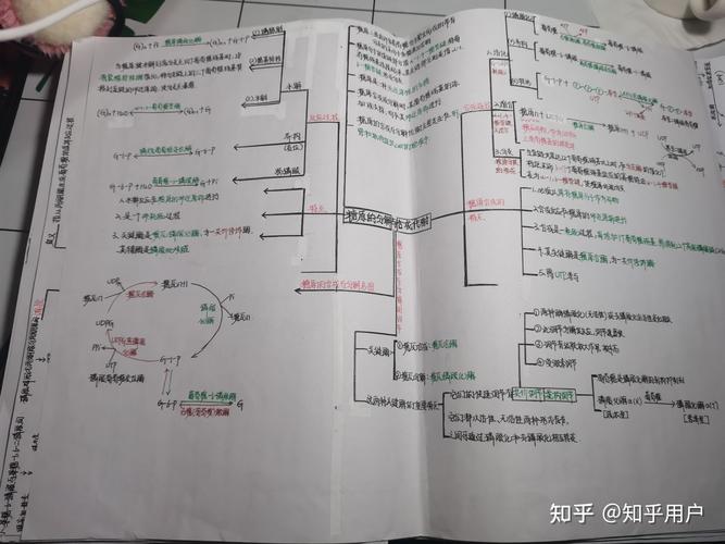 糖类思维导图，核心框架与关键知识点梳理？-图2