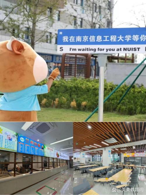 常州大学和南信大哪个好-图2