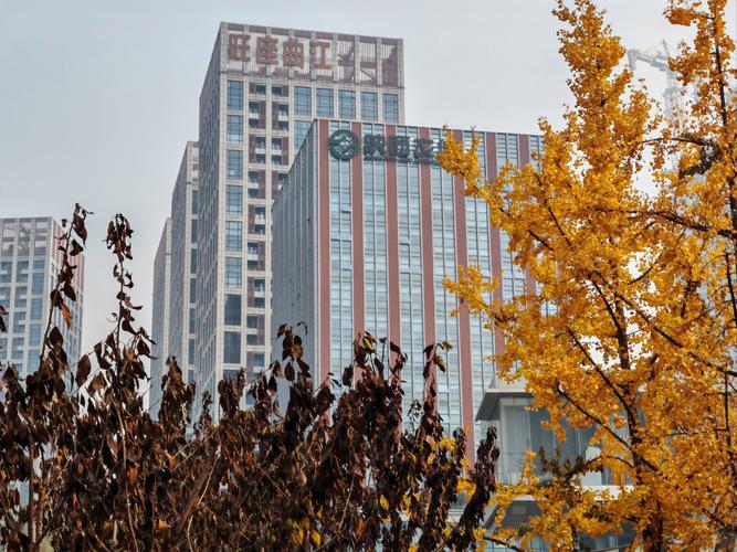 东营金思维，有何独特优势？-图3