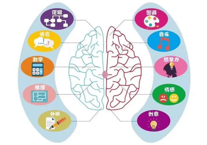 全脑思维的人-图1
