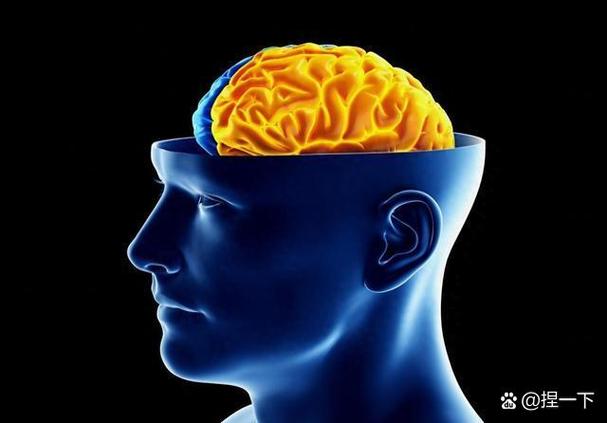 全脑思维的人-图3