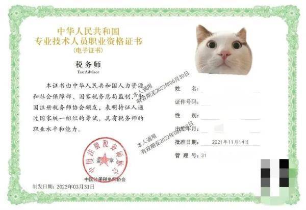 中级审计报名条件有哪些具体要求?-图3 中级审计报名条件有哪些具体要求?-图3