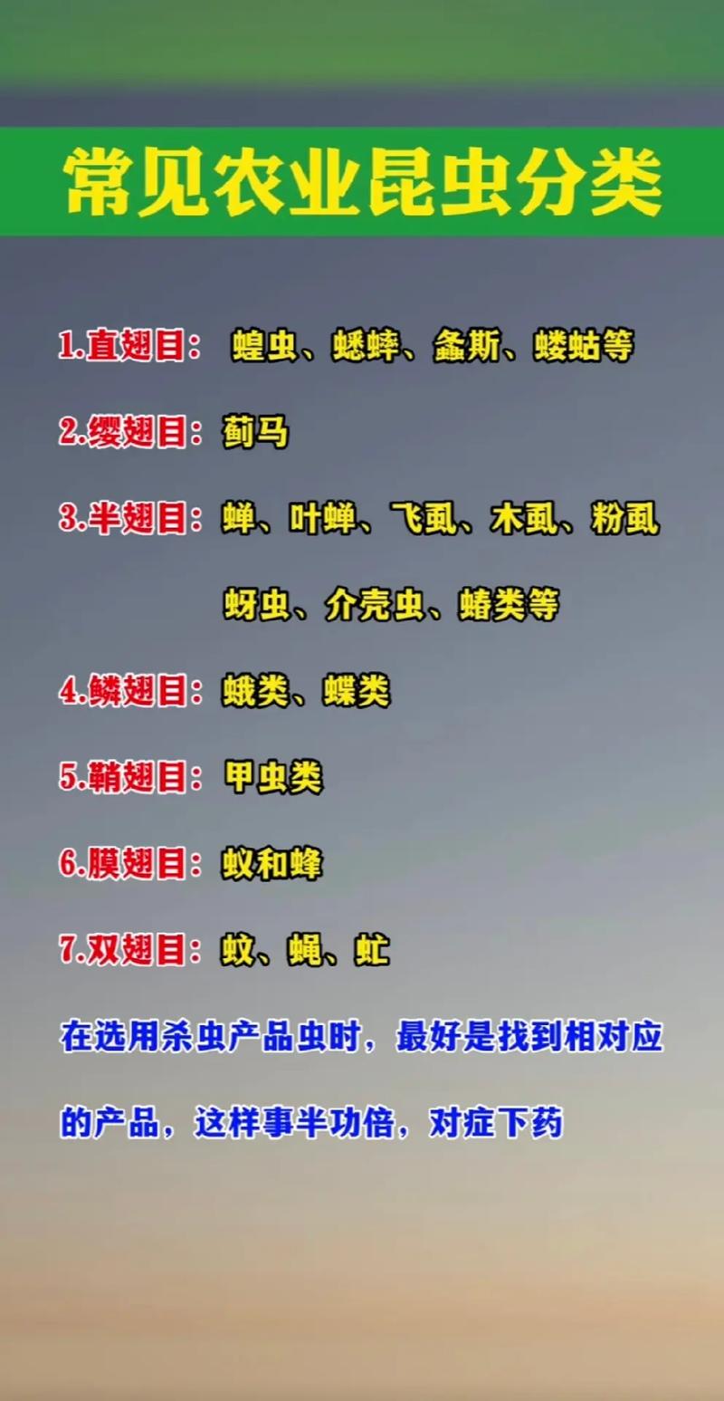 农业昆虫与害虫如何分类?-图1 农业昆虫与害虫如何分类?-图1