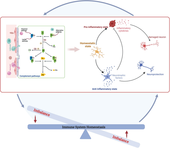 免疫学哪个研究方向前景好?-图3 免疫学哪个研究方向前景好?-图3