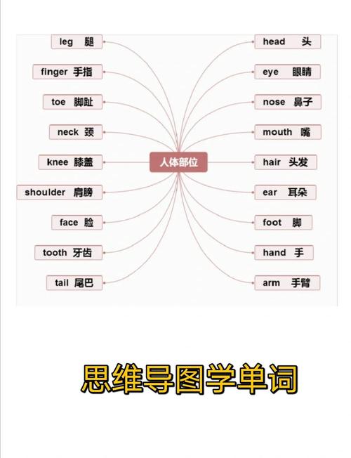 如何真正建立英语思维摆脱中式翻译？-图3