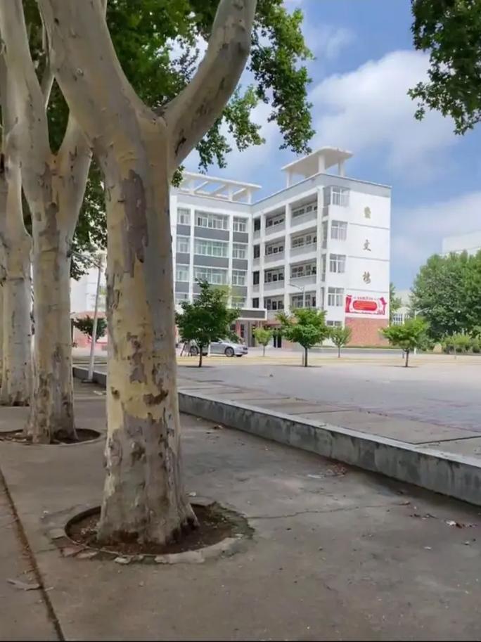 叶县高中录取分数线是多少?-图3 叶县高中录取分数线是多少?-图3