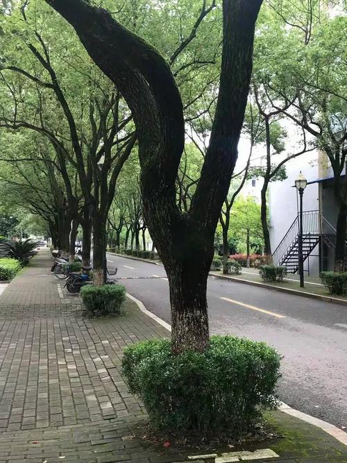 德兴师范录取分数线是多少?-图2 德兴师范录取分数线是多少?-图2