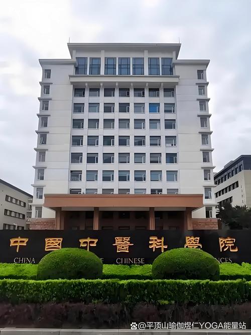 中医外科学哪个方向好？-图3