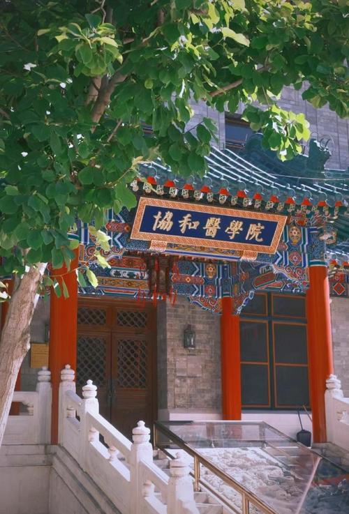 协和医学院是哪个学校？-图3