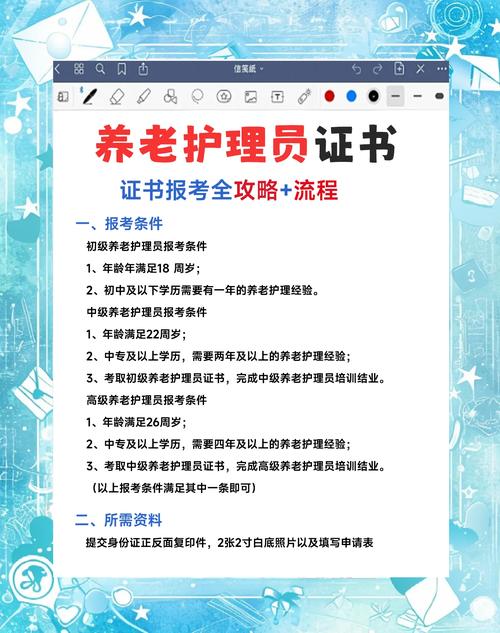 2025护资报名条件有哪些具体要求？-图1