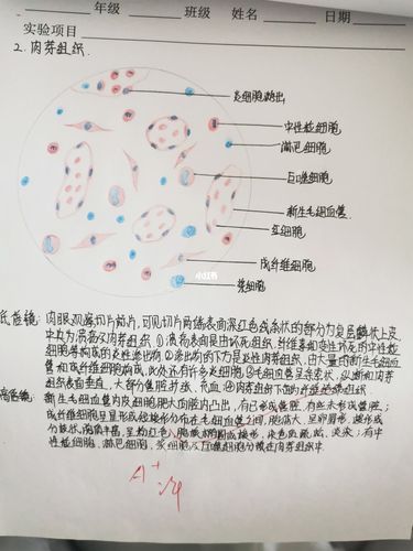 考研肿内肾内如何选？-图1