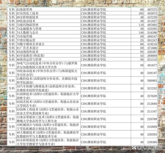 潍坊职教高考录取线具体是多少？-图1
