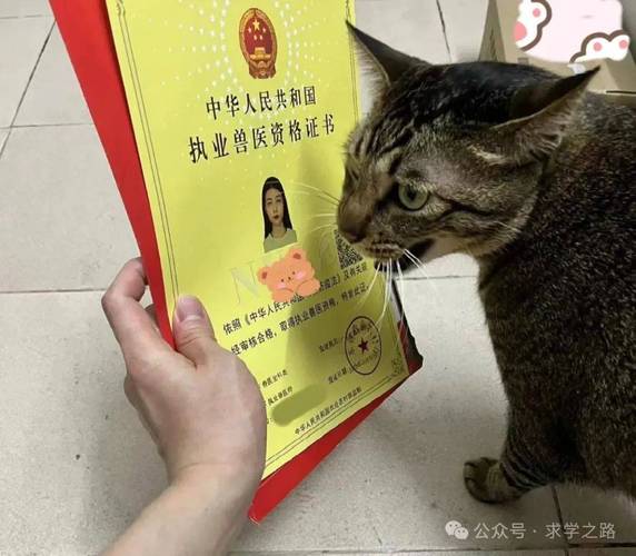 兽医执业资格证报名条件-图3 兽医执业资格证报名条件-图3