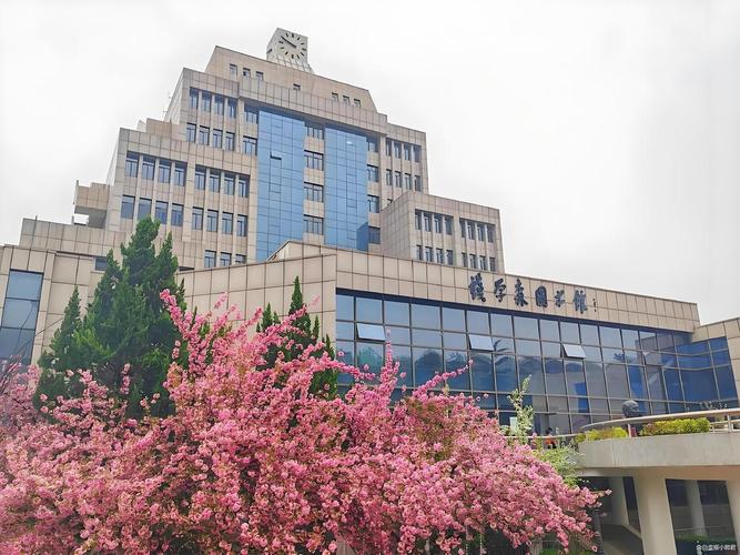 西安交大金融学院具体在哪个区？-图2