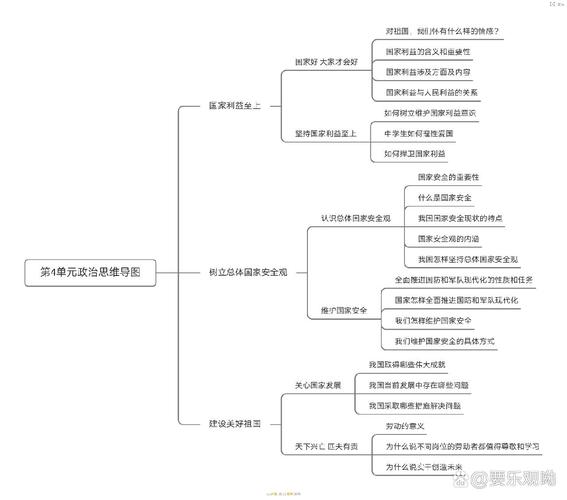 政治的思维导图-图3