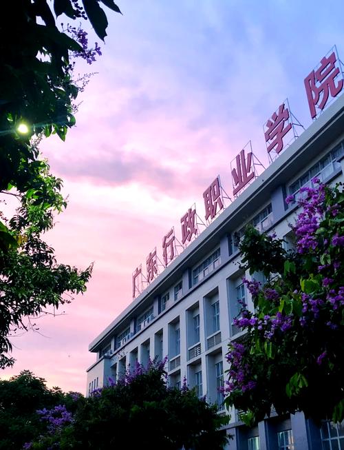 行政学专业哪个学校好-图2
