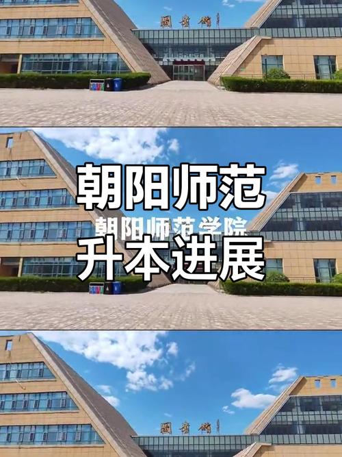 朝阳师范录取率多少能上？-图2